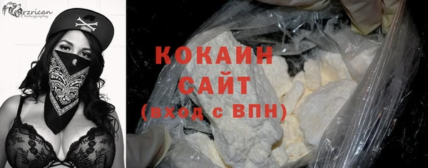 прущие грибы Абаза