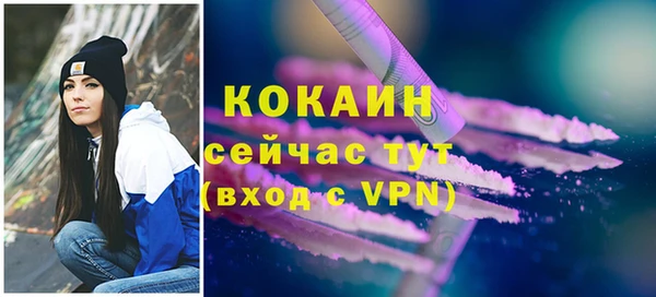 прущие грибы Абаза