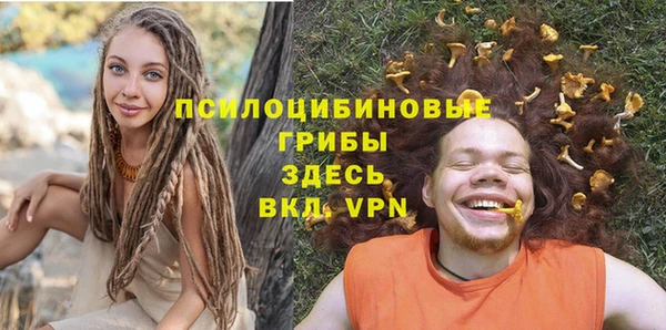 синтетический гашиш Алексин