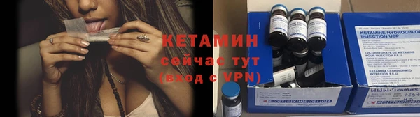прущие грибы Абаза