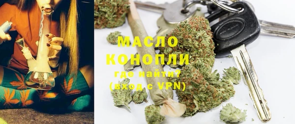 прущие грибы Абаза