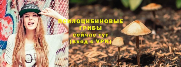 дмт Абинск