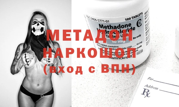 прущие грибы Абаза