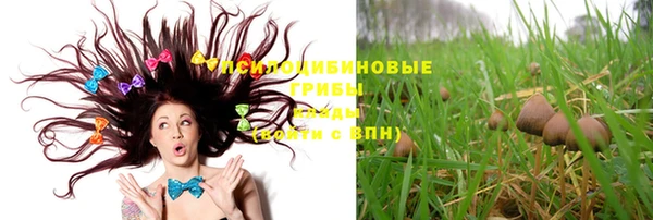 дмт Абинск