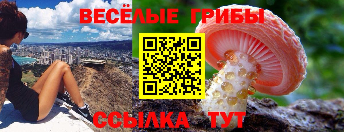 Псилоцибиновые грибы GOLDEN TEACHER  Вход с VPN  Лабытнанги 