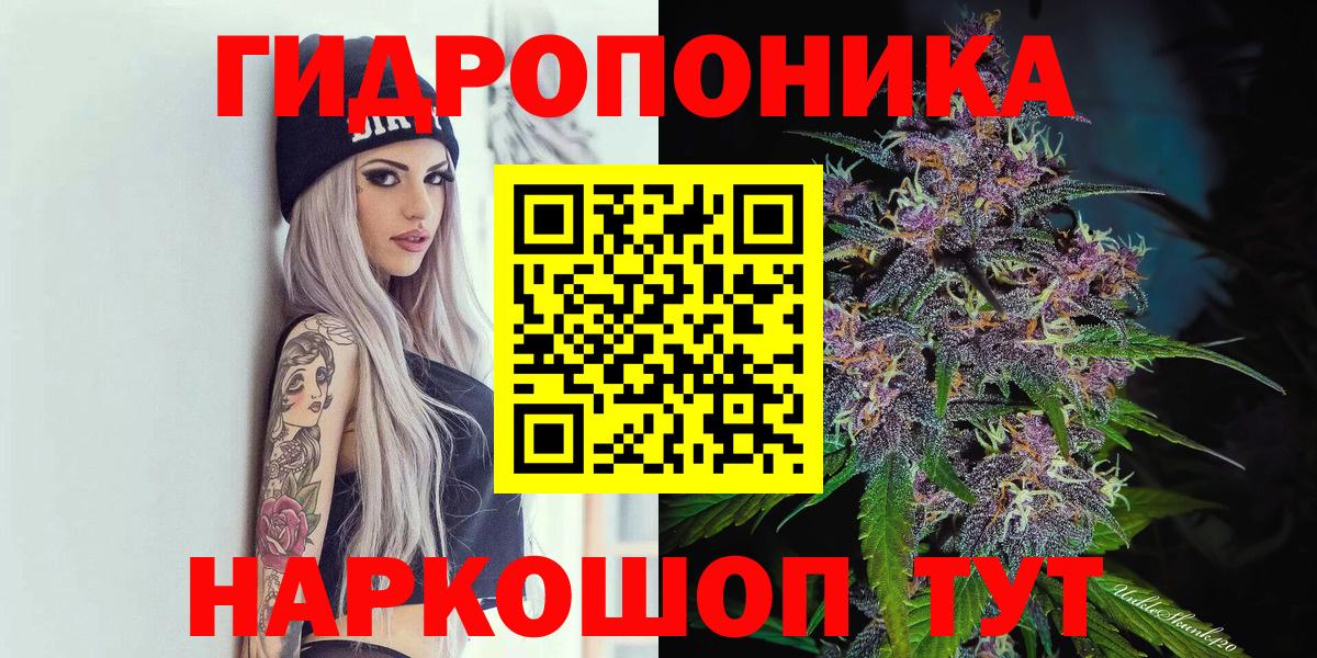 Бошки Шишки гибрид Лабытнанги